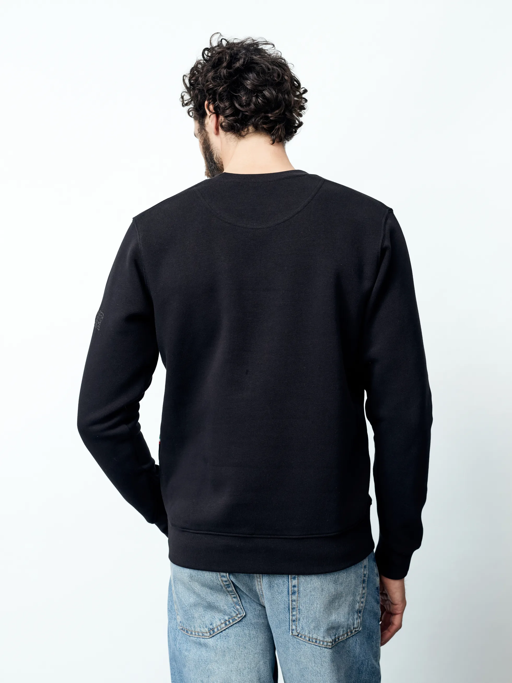 MATTIA - Langarm Herren Sweatshirt, gestrickt